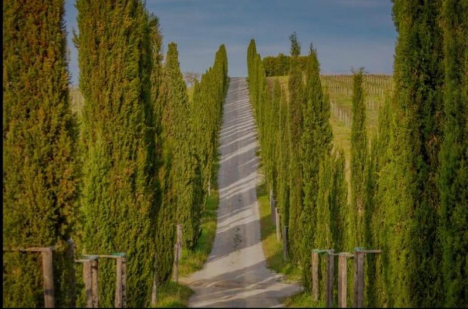 House With A View In Tuscany San Gusme Ngoại thất bức ảnh