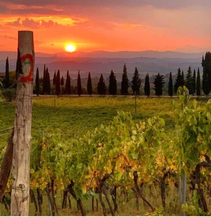 House With A View In Tuscany San Gusme Ngoại thất bức ảnh