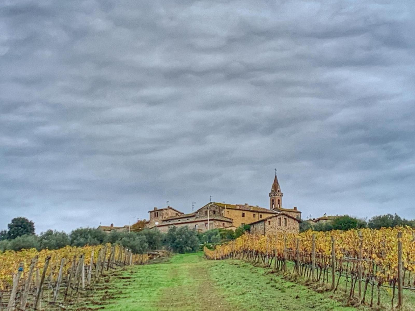 House With A View In Tuscany San Gusme Ngoại thất bức ảnh