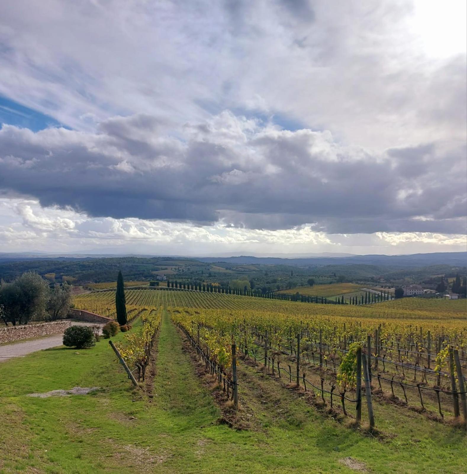 House With A View In Tuscany San Gusme Ngoại thất bức ảnh