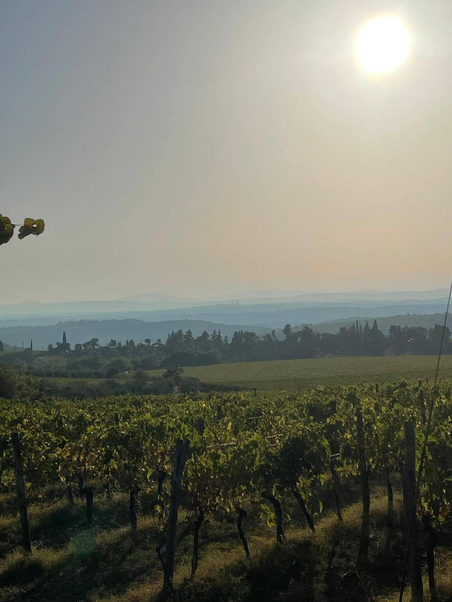 House With A View In Tuscany San Gusme Ngoại thất bức ảnh
