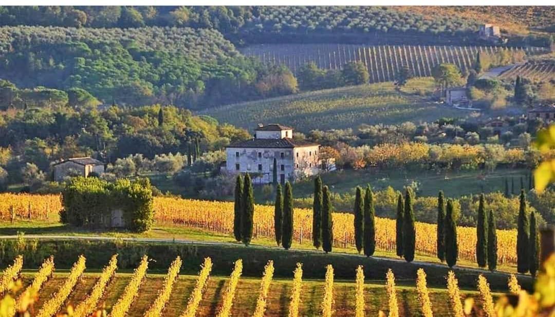 House With A View In Tuscany San Gusme Ngoại thất bức ảnh