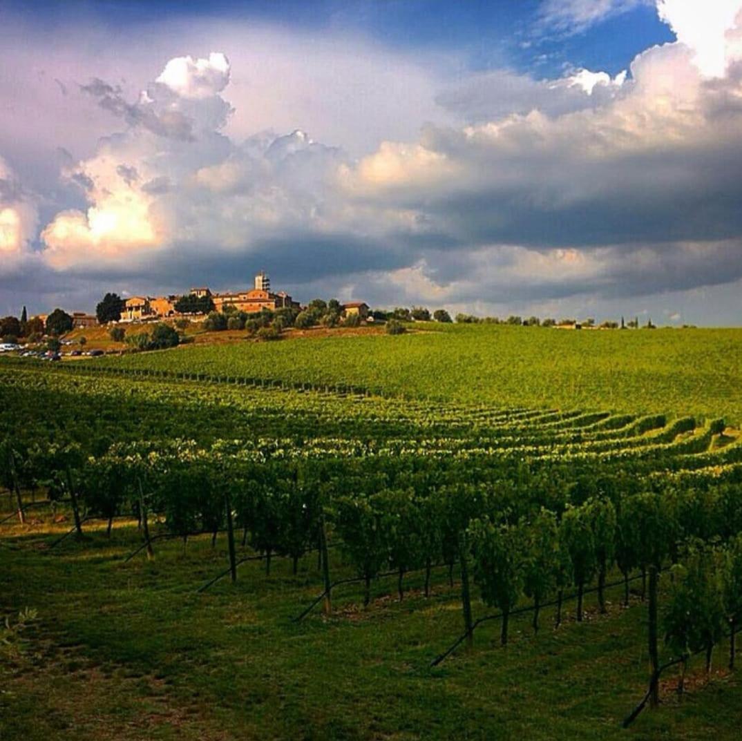 House With A View In Tuscany San Gusme Ngoại thất bức ảnh